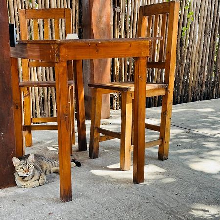 Ahava Hostal Boutique Cancún Kültér fotó
