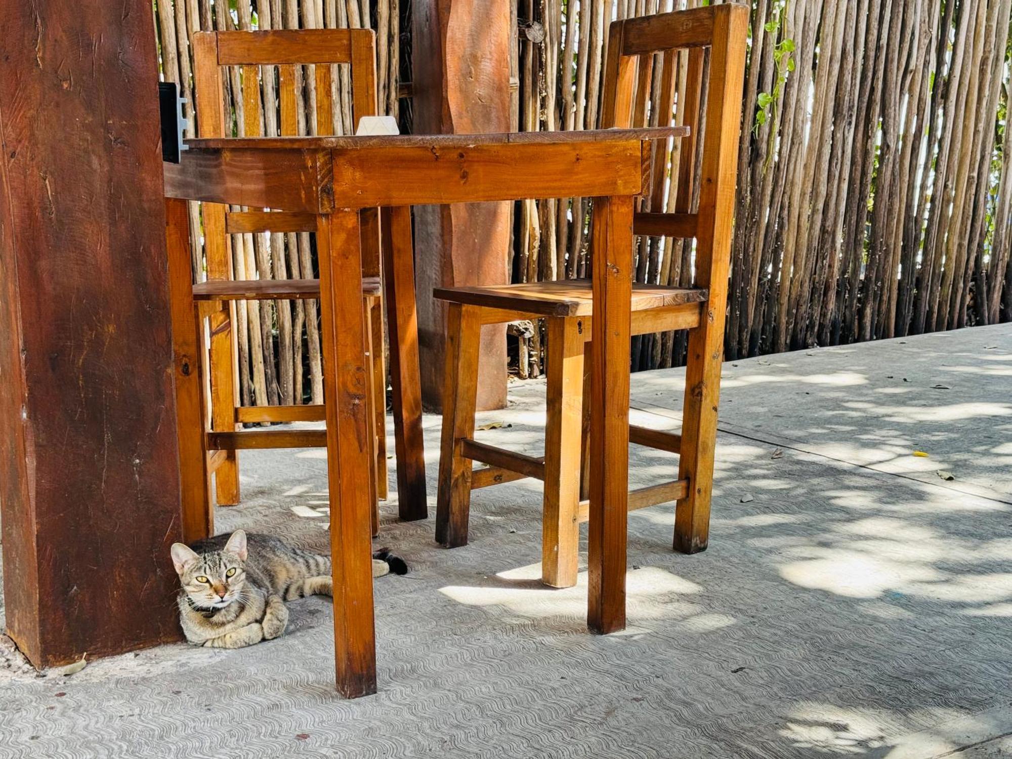 Ahava Hostal Boutique Cancún Kültér fotó